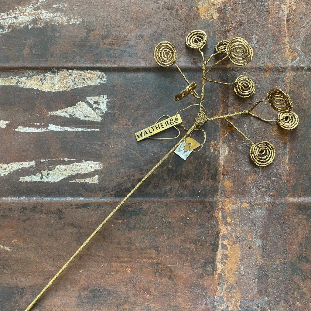 Brass Beaded Cow Parsley - Botanical Range - Walther & Co